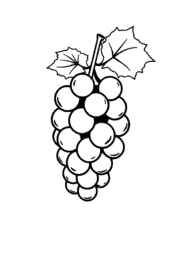 Fruits Coloring Book D074B9E9 (12 Coloring Pages)