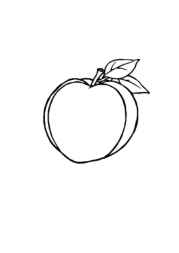 Fruits Coloring Book D074B9E9 (12 Coloring Pages)