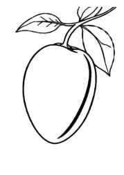 Fruits Coloring Book D074B9E9 (12 Coloring Pages)