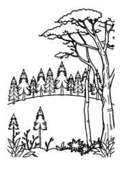 German Culture Coloring Book 42AC9046 (12 Coloring Pages)