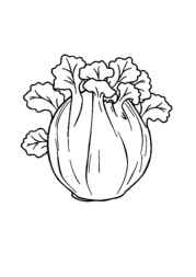 German Food Coloring Book 322A8D32 (12 Coloring Pages)