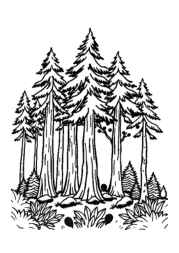 Giants Coloring Book 36FBC9E3 (12 Coloring Pages)