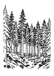 Giants Coloring Book FB455145 (12 Coloring Pages)