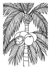 Growing Fruits in Trees Coloring Book 88B40240 (12 Coloring Pages)