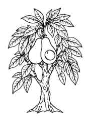 Growing Fruits in Trees Coloring Book 88B40240 (12 Coloring Pages)