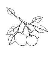 Growing Fruits in Trees Coloring Book 88B40240 (12 Coloring Pages)
