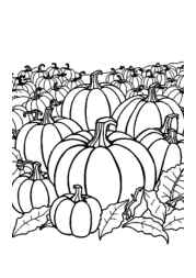 Growing Vegetables in Ground Coloring Book 728CCA48 (12 Coloring Pages)