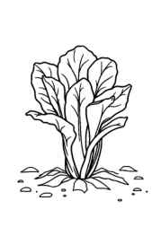 Growing Vegetables in Ground Coloring Book 728CCA48 (12 Coloring Pages)