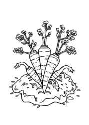 Growing Vegetables in Ground Coloring Book 728CCA48 (12 Coloring Pages)