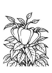 Growing Vegetables in Ground Coloring Book 728CCA48 (12 Coloring Pages)