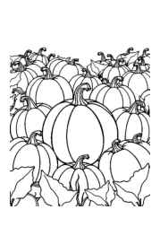 Growing Vegetables in Ground Coloring Book 153552AE (12 Coloring Pages)