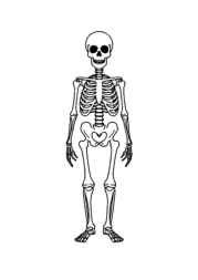 Halloween Coloring Book 1D851090 (12 Coloring Pages)