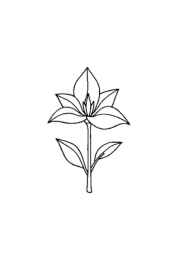 Herbs Coloring Book EA12B3DD (12 Coloring Pages)