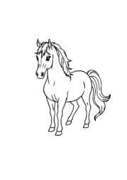 Horses Coloring Book 004AC6E8 (12 Coloring Pages)