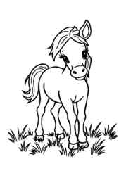 Horses Coloring Book 004AC6E8 (12 Coloring Pages)