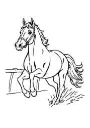 Horses Coloring Book 004AC6E8 (12 Coloring Pages)