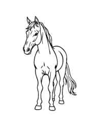 Horses Coloring Book 004AC6E8 (12 Coloring Pages)