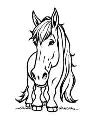 Horses Coloring Book 004AC6E8 (12 Coloring Pages)