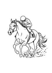 Horses Coloring Book C199DC0D (12 Coloring Pages)