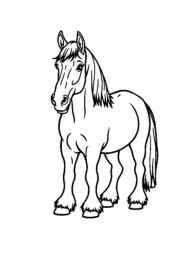 Horses Coloring Book C199DC0D (12 Coloring Pages)