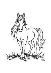 Horses Coloring Book C199DC0D (12 Coloring Pages)