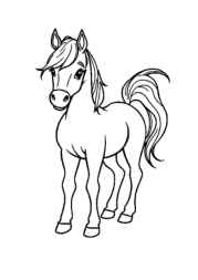 Horses Coloring Book C199DC0D (12 Coloring Pages)