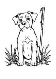 Hunting Coloring Book 07036FF4 (12 Coloring Pages)