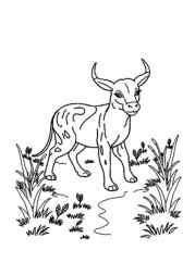 Hunting Coloring Book 07036FF4 (12 Coloring Pages)