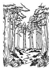 Hunting Coloring Book 07036FF4 (12 Coloring Pages)