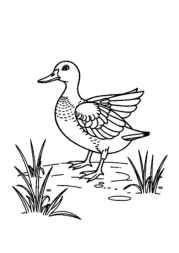 Hunting Coloring Book 07036FF4 (12 Coloring Pages)