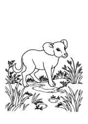 Hunting Coloring Book 2D5684FE (12 Coloring Pages)