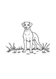 Hunting Coloring Book 2D5684FE (12 Coloring Pages)