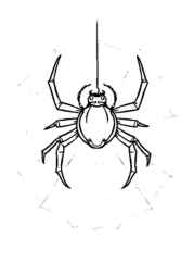 Insects Coloring Book 28BF34B9 (12 Coloring Pages)