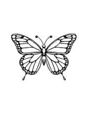 Insects Coloring Book 28BF34B9 (12 Coloring Pages)