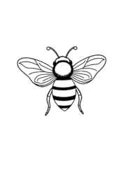 Insects Coloring Book 28BF34B9 (12 Coloring Pages)