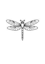 Insects Coloring Book 28BF34B9 (12 Coloring Pages)