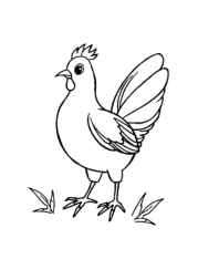 Insects Coloring Book 28BF34B9 (12 Coloring Pages)