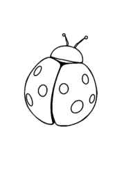 Insects Coloring Book 28BF34B9 (12 Coloring Pages)