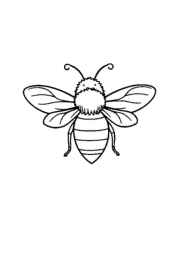 Insects Coloring Book C294494C (12 Coloring Pages)
