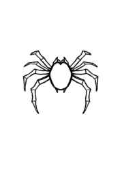 Insects Coloring Book C294494C (12 Coloring Pages)
