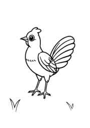 Insects Coloring Book C294494C (12 Coloring Pages)