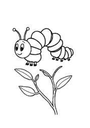 Insects Coloring Book C294494C (12 Coloring Pages)
