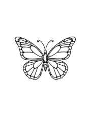 Insects Coloring Book C294494C (12 Coloring Pages)