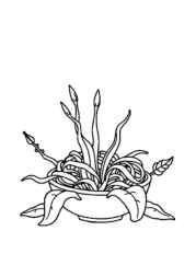 Italian Food Coloring Book 72B9BF7D (12 Coloring Pages)