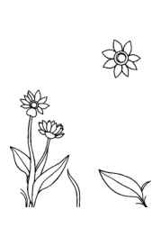 Italian Food Coloring Book 72B9BF7D (12 Coloring Pages)