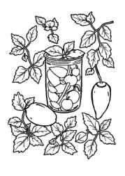 Italian Food Coloring Book 72B9BF7D (12 Coloring Pages)