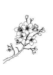 Japanese Culture Coloring Book D6BDC970 (12 Coloring Pages)