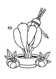 Japanese Food Coloring Book 62D8E7FE (12 Coloring Pages)