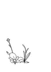 Kitchen Coloring Book 3239357A (12 Coloring Pages)