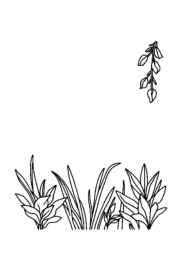 Kitchen Coloring Book D79ADBF0 (12 Coloring Pages)